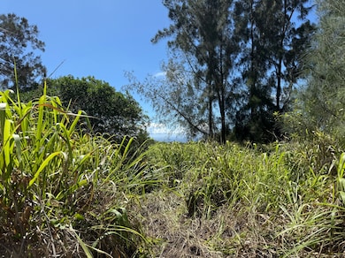 0 Kai Makani Place unit 724484, Naalehu, HI 96772 - photo 6