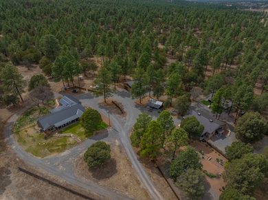 200 Meadow Ln, Mimbres, NM 88049 - photo 6