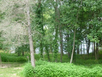 115 Cherokee Dr, Kimberling City, MO 65686 - photo 4