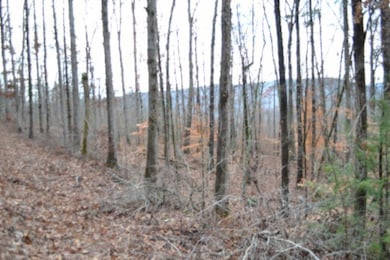 Lot 75 Tomahawk Rd, Jamestown, TN 38556 - photo 6