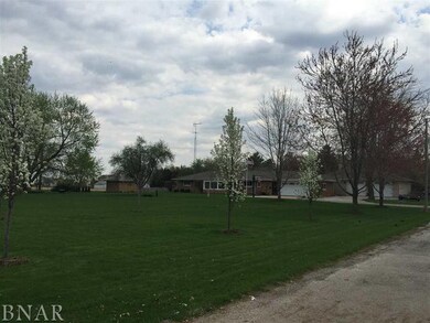 1 Douglas Dr, Chenoa, IL 61726 - photo 2