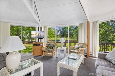 24 Tree Top Dr unit 2, Village of Four Seasons, MO 65049 - photo 4