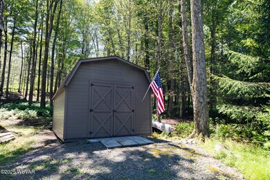Shed
