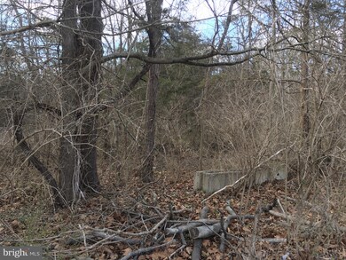 0 Howellsville Rd unit VAWR139552, Unknown, VA 22630 - photo 7