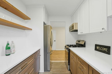 3363 Sedgwick Ave unit 4D, Bronx, NY 10463 - photo 5