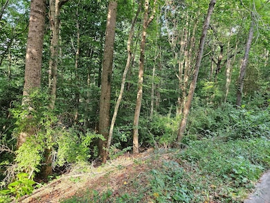 00 General Griffith Cir unit 31, Rutherfordton, NC 28139 - photo 2