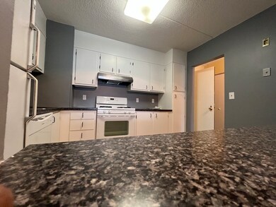 Chapel Hill West unit 114, Framingham, MA 01702 - photo 7