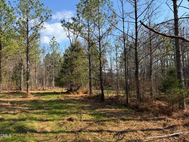 Lot 1 Wolf Tree Way, Efland, NC 27243 - photo 5