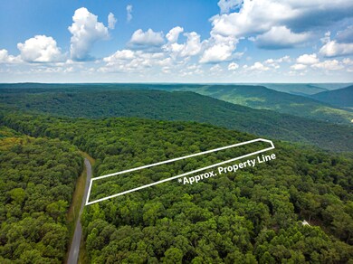 00 Jackson Point Rd, Sewanee, TN 37380 - photo 4