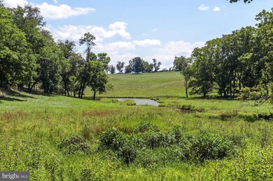 5170 Oak Spring Rd, Upperville, VA 20184 - photo 4