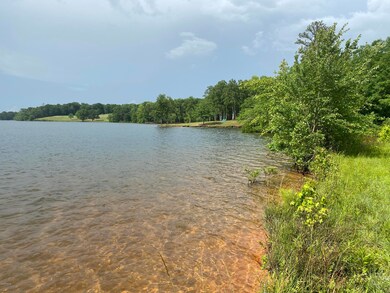 55 Cornish Creek Ln, Covington, GA 30014 - photo 3