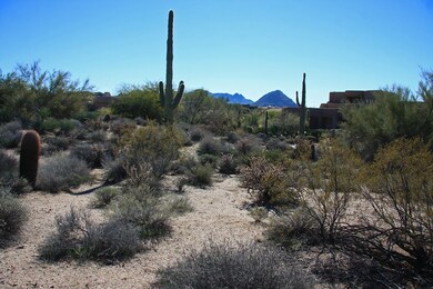 South View