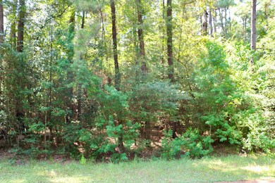 0000 Chelsie Place, Magnolia, TX 77354 - photo 4