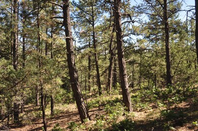 0 4230 Chipmunk Dr unit B70 16-642, Trinidad, CO - photo 6