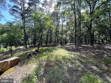 634 Island Ridge Rd, Romney, WV 26757 - photo 2