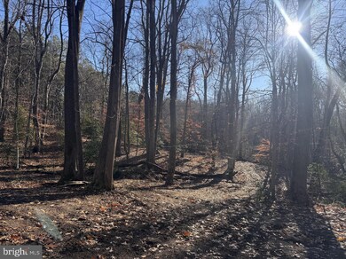 5260 Sheridan Point Rd, Prince Frederick, MD 20678 - photo 6