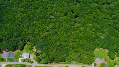 Lot 36 Talona Mountain Rd, Ellijay, GA 30536 - photo 4