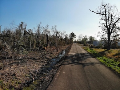 0 Michael Ln, Sulphur, LA 70665 - photo 5