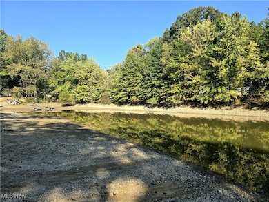 10745 Leffingwell Rd, North Benton, OH 44449 - photo 4