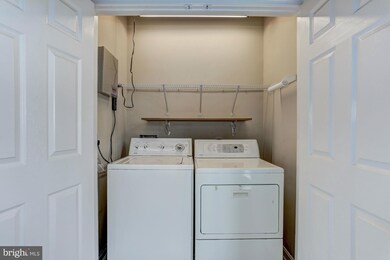 10120 Pale Rose Loop, Bristow, VA 20136 - photo 6