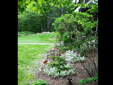 Yard/Garden.