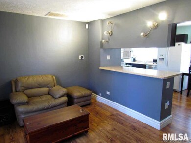 3130 E Division St unit 1, Springfield, IL 62702 - photo 4