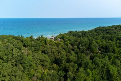 0 Pine Run Dr unit 21027042, Onekama, MI 49675 - photo 7