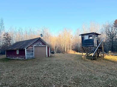 1287 Trinity Pines Ln NW, Backus, MN 56435 - photo 4