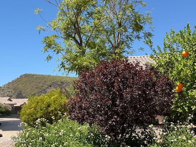 20644 N 41st Ave, Glendale, AZ 85308 - photo 5