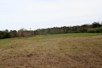 1835 Live Oak Dr, Jacksonville, FL 32246 - photo 4