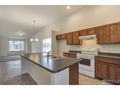 641 Mt Princeton Dr, Severance, CO 80550 - photo 3