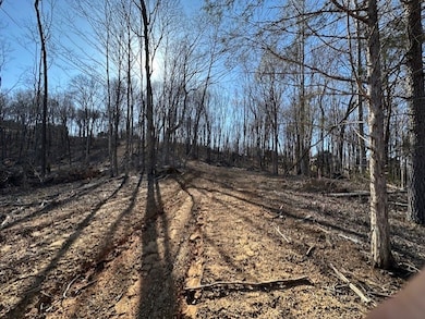 00 Garrett Ln, Allons, TN 38541 - photo 6