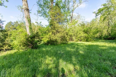 1 N Perrin Rd, Ravenden, AR 72459 - photo 3