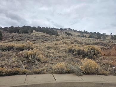2678 W 225 S Cedar City UT