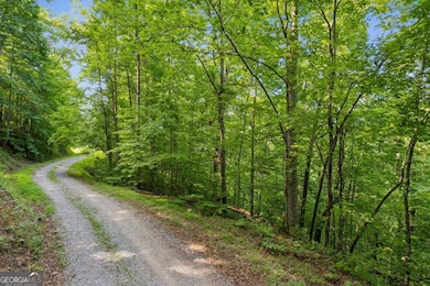 0 Flat Ridge Rd unit 10490565, Ellijay, GA 30540 - photo 4