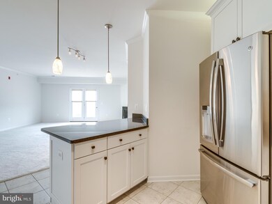 41895 Cathedral Valley Square unit 400, Aldie, VA 20105 - photo 4