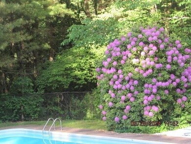 60 Raymond Rd, Sudbury, MA 01776 - photo 5