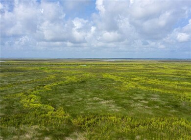 41 Hatton Ln, Saint Simons Island, GA 31522 - photo 4