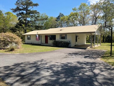 169 Carl Cloud Rd, Climax, GA 39834 - photo 3