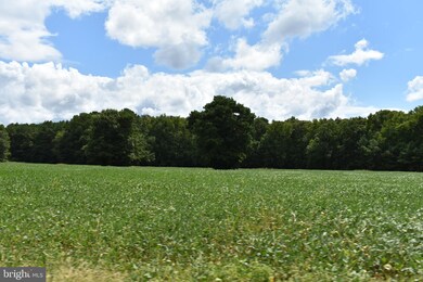 0 Wicomico Beach Rd unit (TIMBER & LAND), Newburg, MD 20664 - photo 3