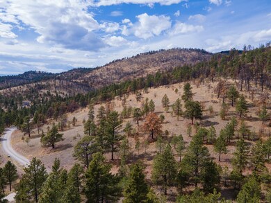 6978 Black Sandy Loop-05