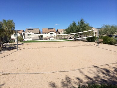 community volley ball