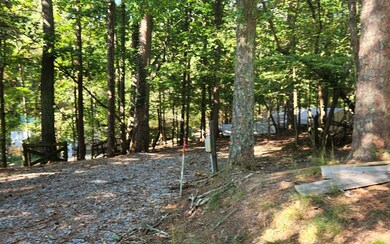 L458 23rd St, Ellijay, GA 30540 - photo 3