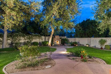 Impressive Back Yard