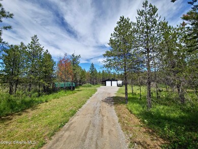 Driveway 3