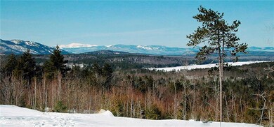 32 Washington View Ln, Bridgton, ME 04009 - photo 6