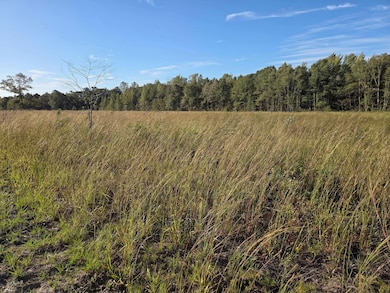 Brooks Rd, Hurtsboro, AL 36860 - photo 7