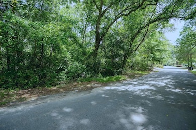 000 Sable St, Walterboro, SC 29488 - photo 7