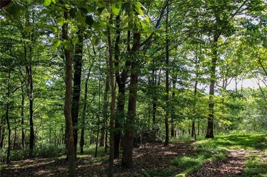 8088 Ridgeview Dr, Big Canoe, GA 30143 - photo 3