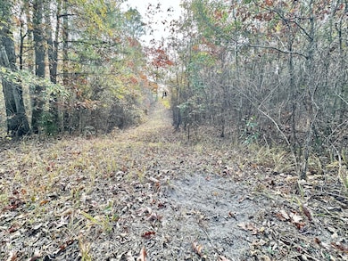 3 County Road 3122, McCool, MS 39108 - photo 4